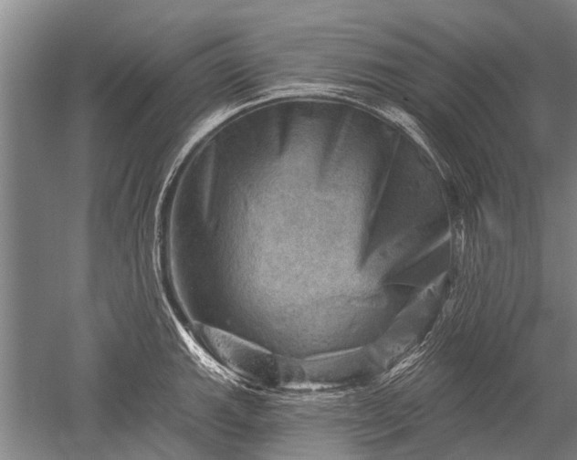 X0000052571143200507081655