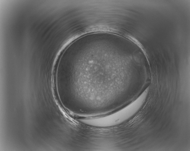 X0000052571144200507081655