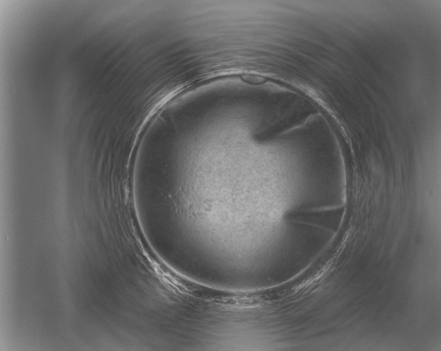 X0000052571145200507081655