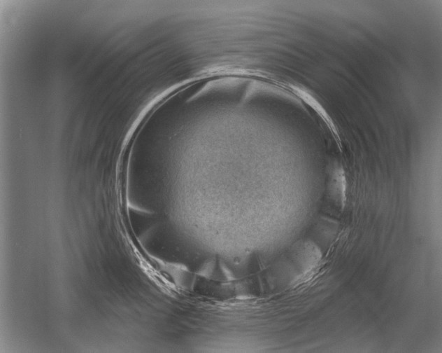 X0000052571148200507081655