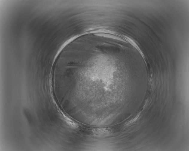 X0000052571149200507081655