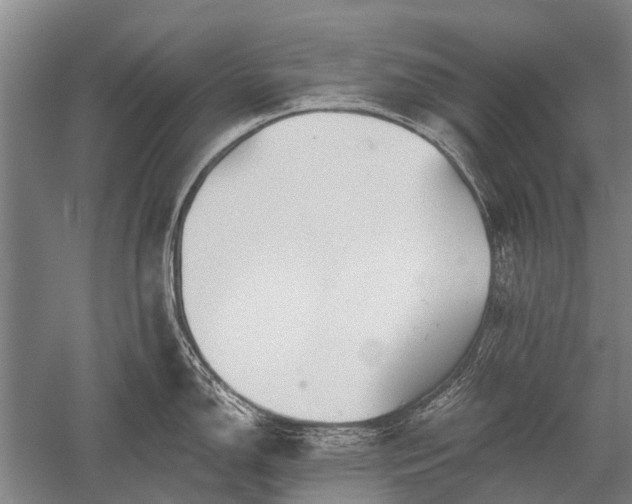 X0000052571150200507081655