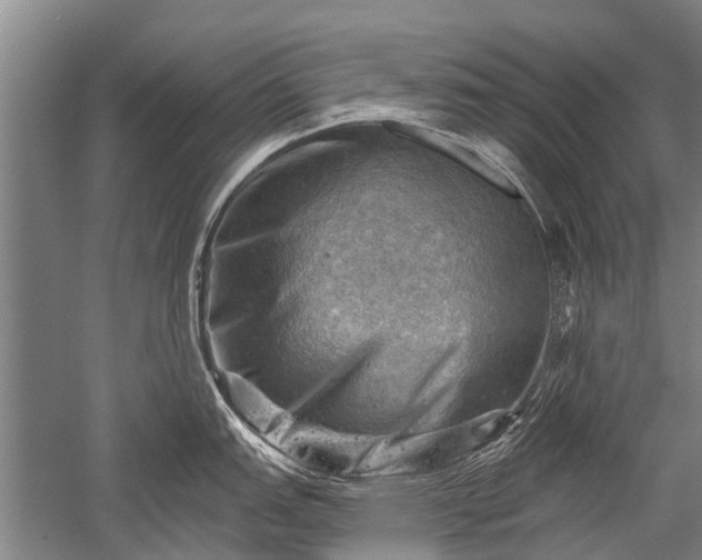 X0000052571151200507081655