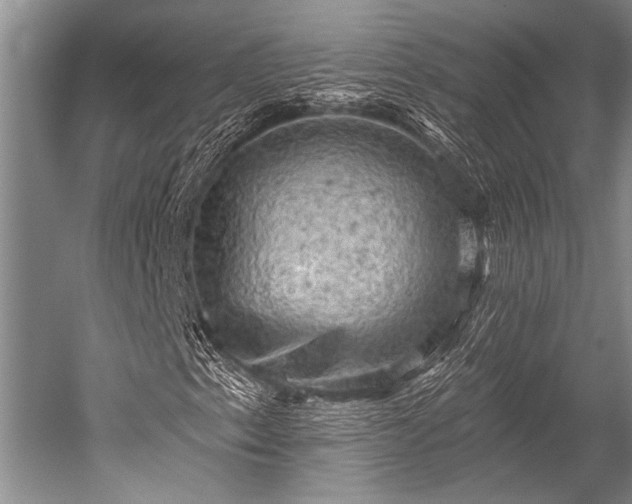 X0000052571153200507081654