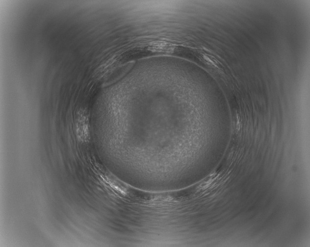 X0000052571154200507081654