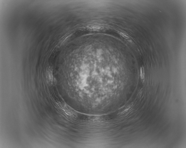 X0000052571155200507081654