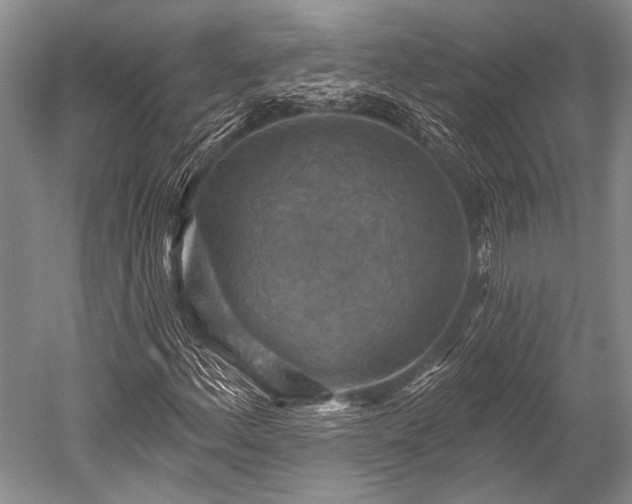 X0000052571156200507081654