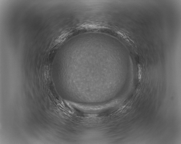 X0000052571157200507081654