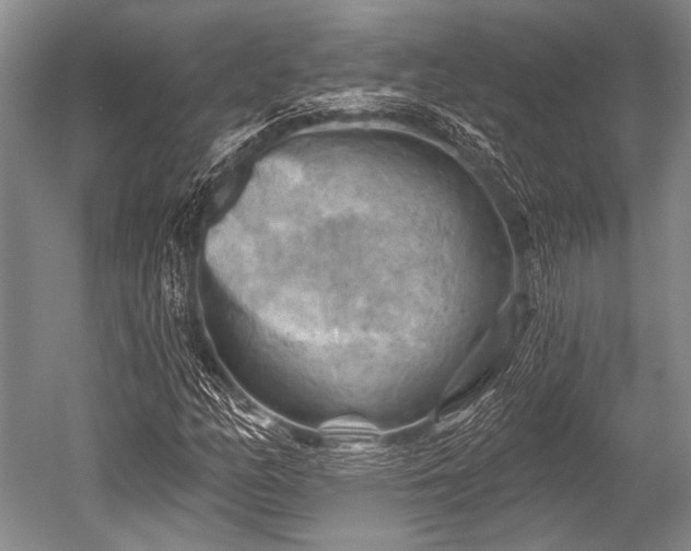 X0000052571158200507081654