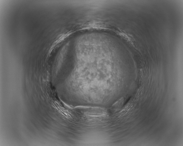 X0000052571159200507081654