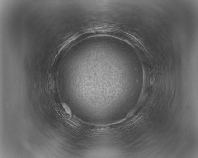 X0000052571160200507081654