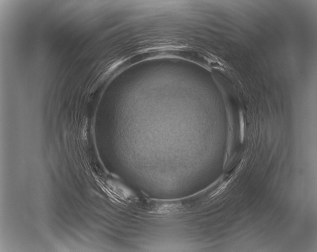 X0000052571161200507081654