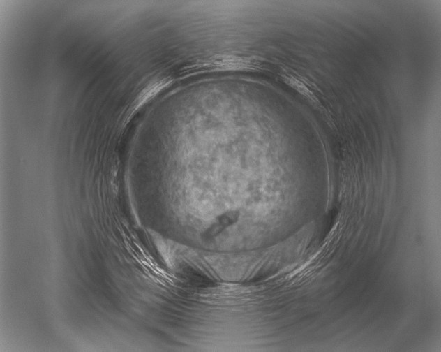 X0000052571163200507081654