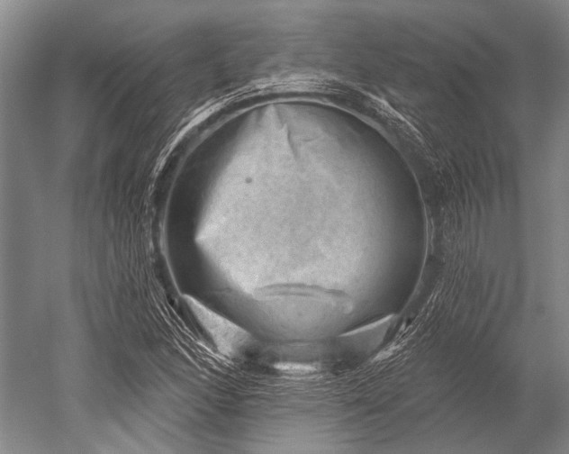 X0000052571166200507081654