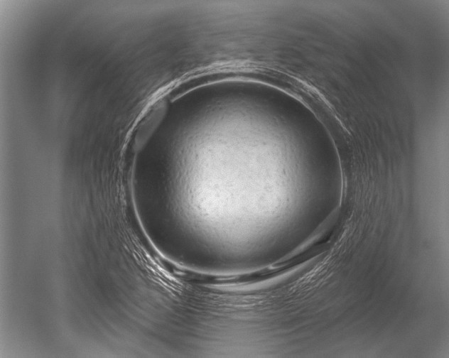 X0000052571168200507081654