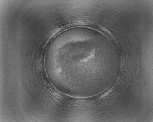 X0000052571170200507081654