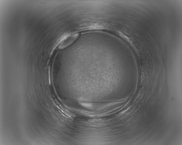 X0000052571171200507081654