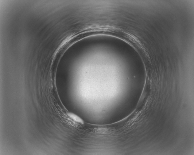 X0000052571172200507081654