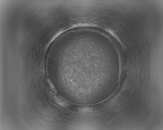 X0000052571173200507081654