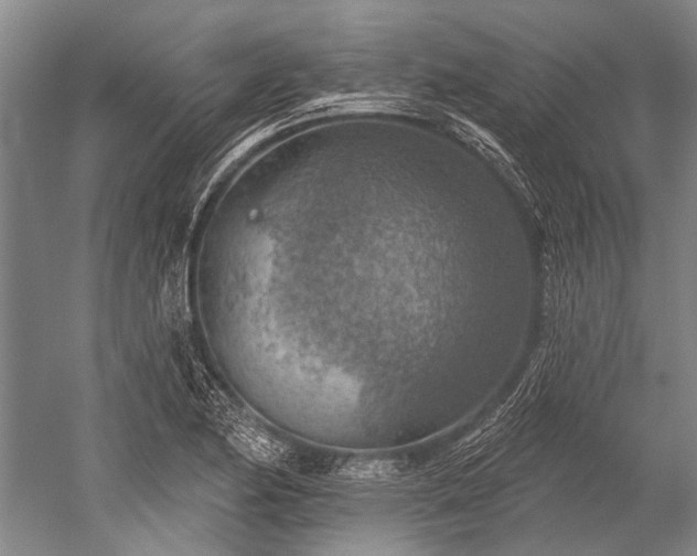 X0000052571174200507081654