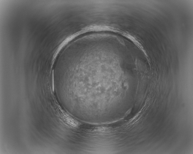 X0000052571175200507081654