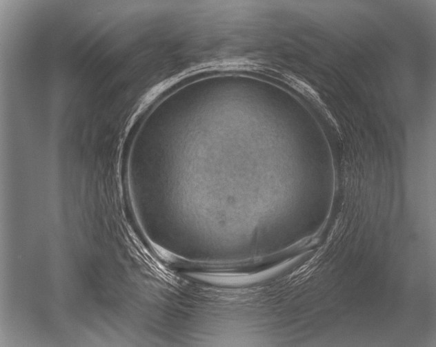 X0000052571176200507081654