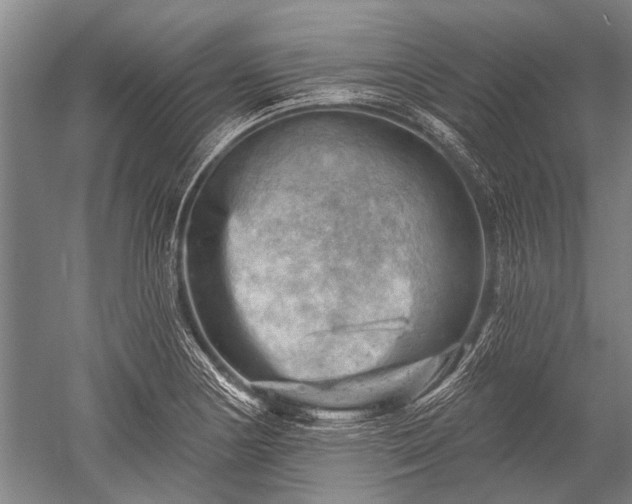 X0000052571178200507081654