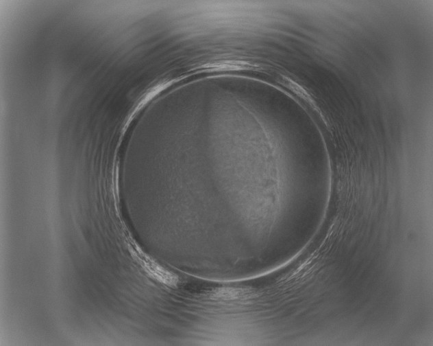 X0000052571179200507081654