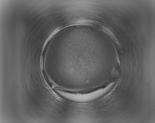 X0000052571180200507081654