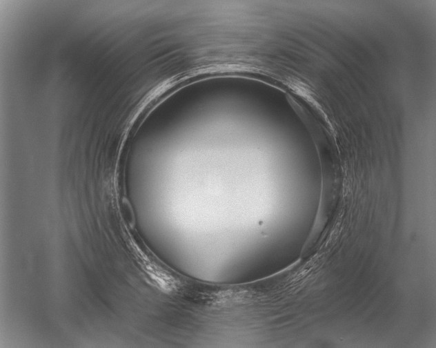 X0000052571181200507081654