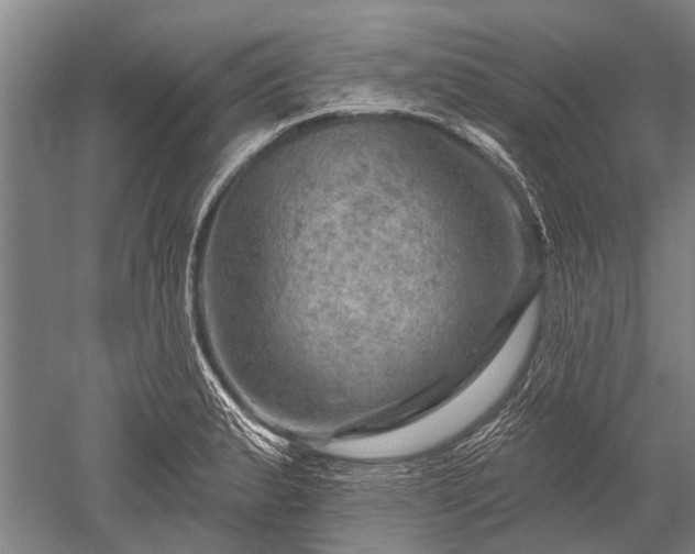 X0000052571183200507081654