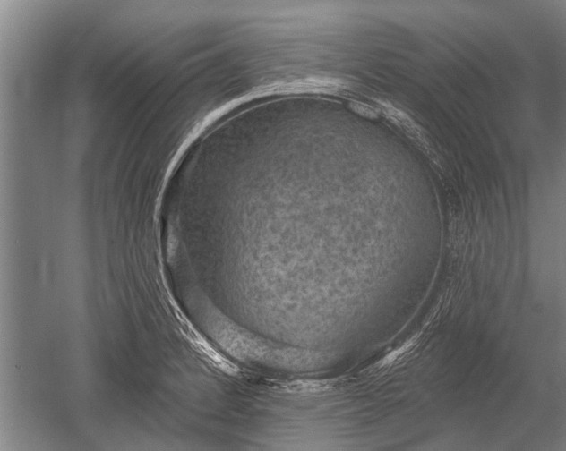 X0000052571184200507081654