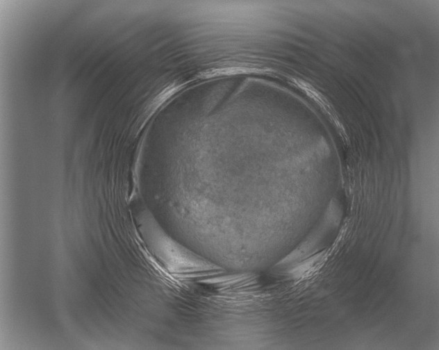 X0000052571185200507081654