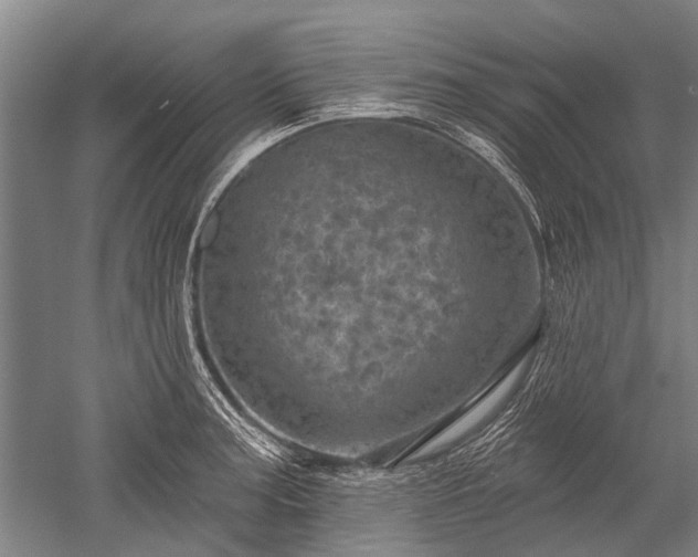 X0000052571187200507081654