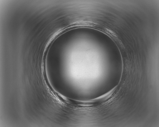 X0000052571188200507081654