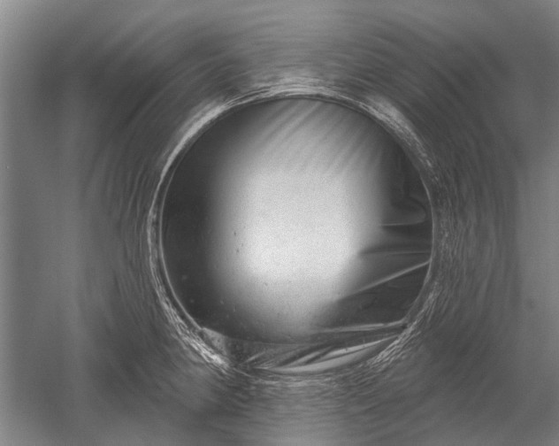 X0000052571190200507081654