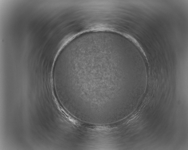 X0000052571191200507081653