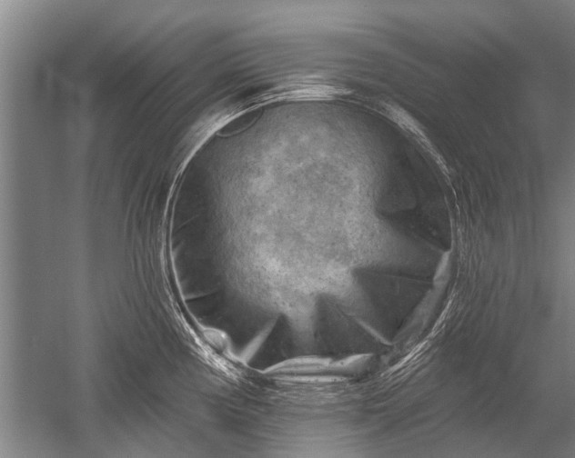 X0000052571194200507081653