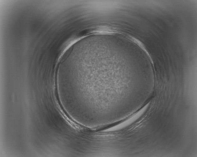 X0000052571195200507081653