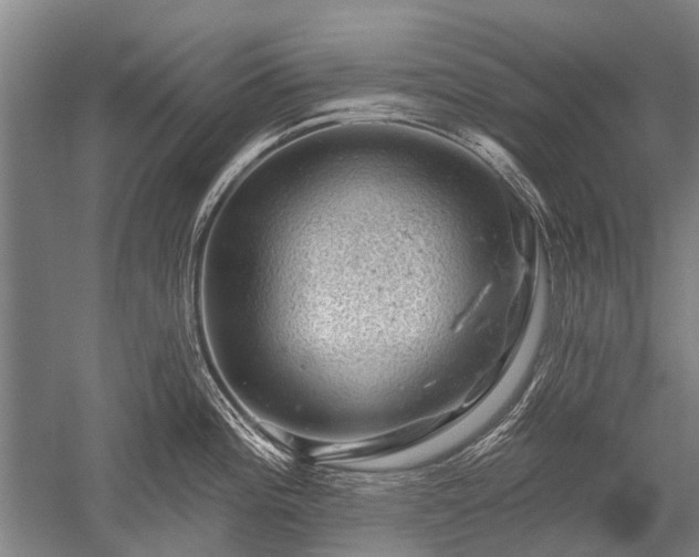 X0000052571196200507081653