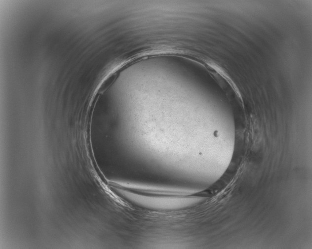 X0000052571197200507081653