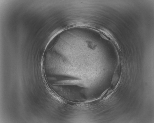 X0000052571198200507081653