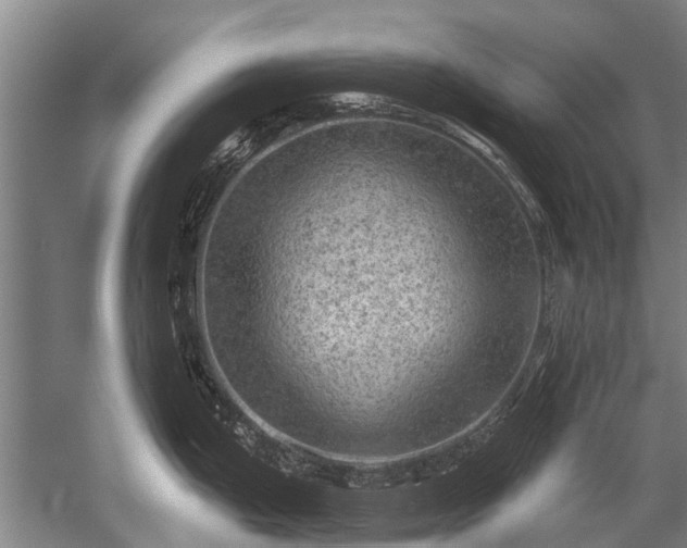 X0000052571199200507081653