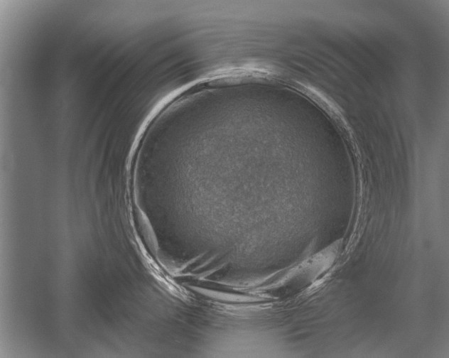 X0000052571200200507081653