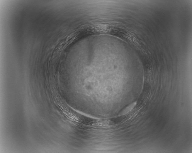 X0000052571201200507081653