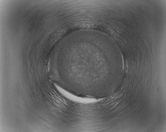 X0000052571202200507081653