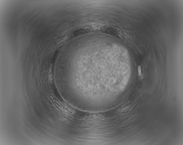 X0000052571203200507081653