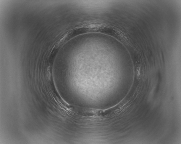 X0000052571204200507081653