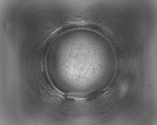 X0000052571205200507081653