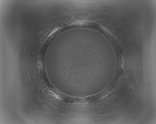 X0000052571206200507081653